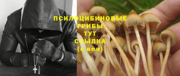 соль курить ск Кулебаки