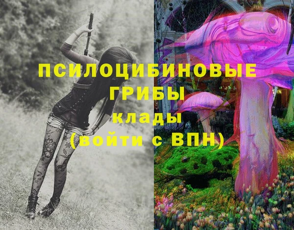 герыч Козельск