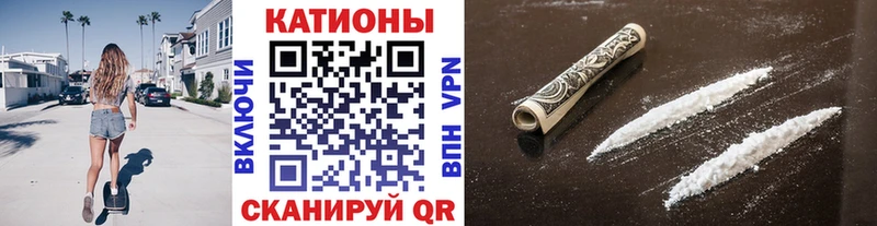 МЯУ-МЯУ мяу мяу  ОМГ ОМГ tor  Котельнич 