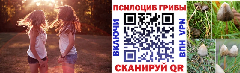 продажа наркотиков Котельнич Галлюциногенные грибы ЛСД